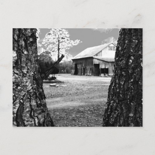 Old Barn Rural Barns Country Black & White Foto Briefkaart (Voorkant)