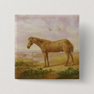 Old Billy, een Draft Horse, 62 jaar oud (olie op h Vierkante Button 5,1 Cm