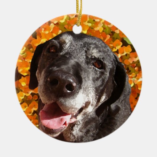 Old Black Labrador Keramisch Ornament (Voorkant)