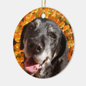 Old Black Labrador Keramisch Ornament (Links)