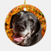 Old Black Labrador Keramisch Ornament (Achterkant)