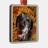Old Black Labrador Metalen Ornament (Rechts)
