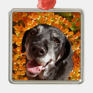 Old Black Labrador Metalen Ornament