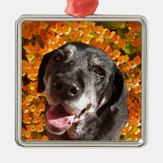 Old Black Labrador Metalen Ornament (Voorkant)