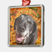 Old Black Labrador Metalen Ornament (Links)