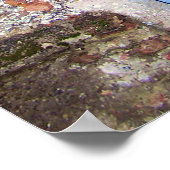 Old Blue Door Poster (Hoek)