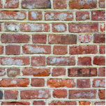 Old Brick Wall Staand Fotobeeldje<br><div class="desc">Oude schildklierkrabbetje</div>
