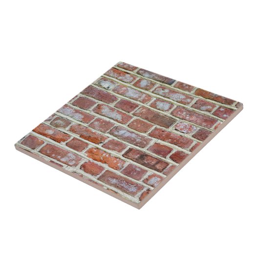 Old Brick Wall Tegeltje (Zijkant)