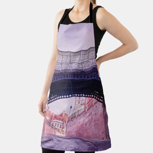 Old bridge,  medieval bridgeantique, arch, archite schort (Insitu)