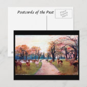 Old Briefkaart - Greenwich Park, Londen (Voorkant / Achterkant)