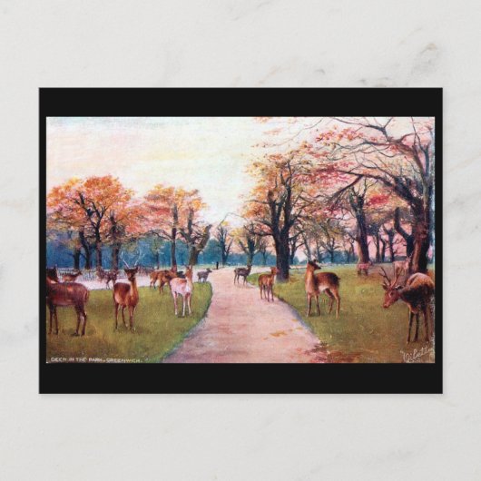 Old Briefkaart - Greenwich Park, Londen (Voorkant)