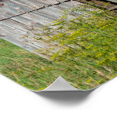 Old Broken Barn Poster (Hoek)