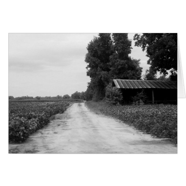 Old Building Barn in North Carolina (Voorkant Horizontaal)