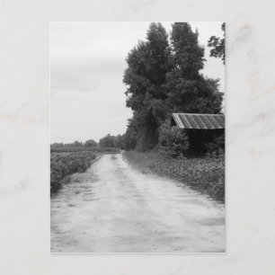 Old Building Barn in North Carolina Briefkaart