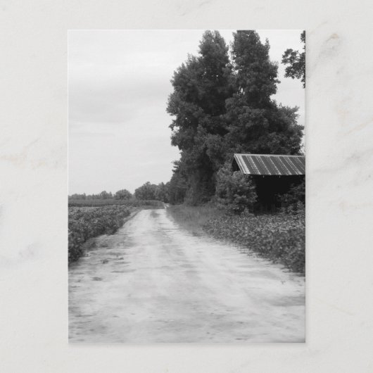 Old Building Barn in North Carolina Briefkaart (Voorkant)