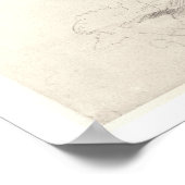 Old Cedar Tree in Botanic Garden, Chelsea, 1854 (p Poster (Hoek)