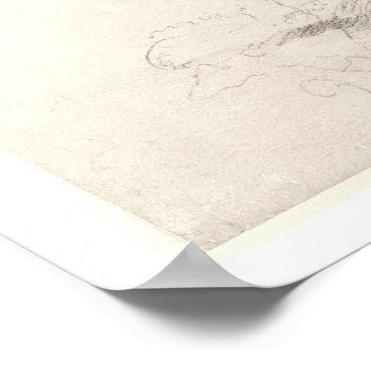 Old Cedar Tree in Botanic Garden, Chelsea, 1854 (p Poster (Hoek)