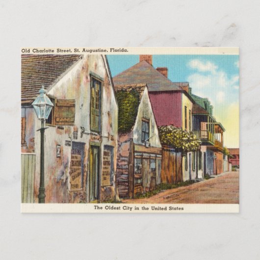 Old Charlotte Street, Augustine, Florida Briefkaart (Voorkant)