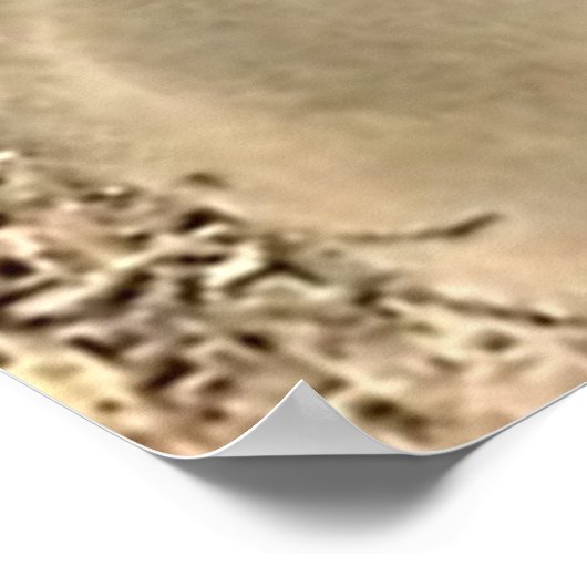 Old Chevy Farming Truck Poster (Hoek)