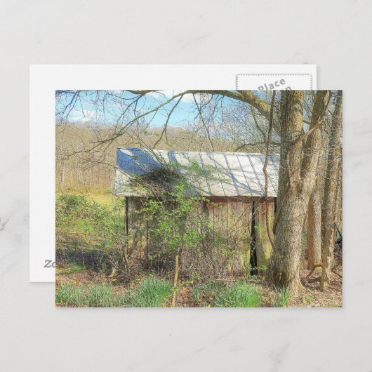 Old Chicken Coop Briefkaart (Voorkant / Achterkant)