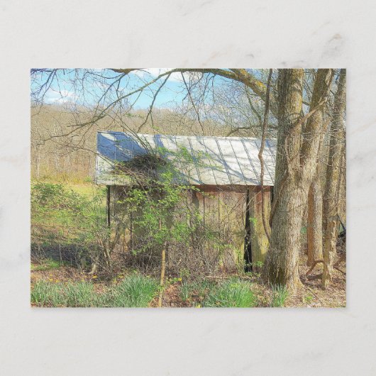 Old Chicken Coop Briefkaart (Voorkant)