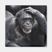 Old Chimpansee magnet (Voorkant)