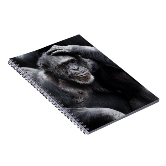 Old Chimpansee notitieboek (Rechterzijde)