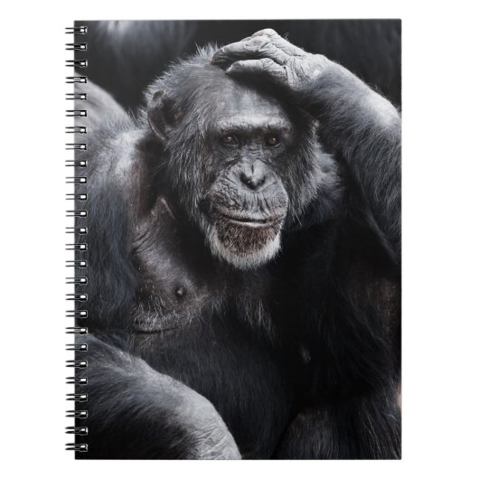 Old Chimpansee notitieboek (Voorkant)