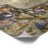 Old Church Window Poster (Hoek)