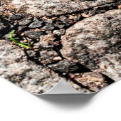 Old cobble stone pattern at the streetabstract, an poster (Hoek)