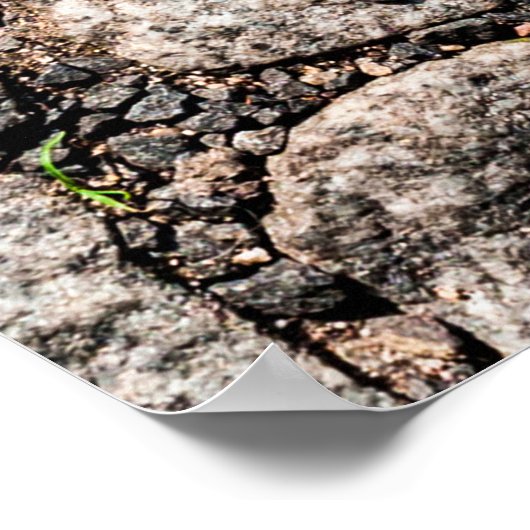 Old cobble stone pattern at the streetabstract, an poster (Hoek)