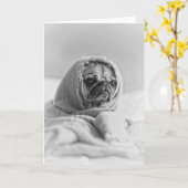 Old Country Pug Kaart (Gele Bloem)