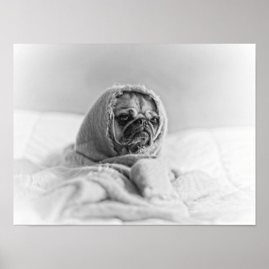 Old Country Pug Poster (Voorkant)