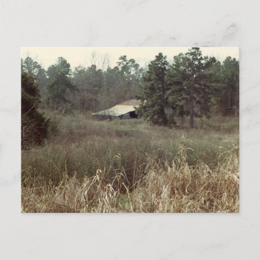 Old Coushatta Barn Briefkaart (Voorkant)