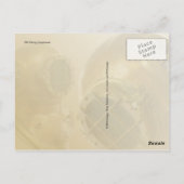 Old Diving Equipment, History of Diving Museum, FL Briefkaart (Achterkant)