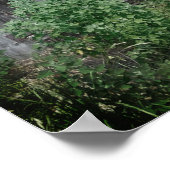 Old Door Poster (Hoek)