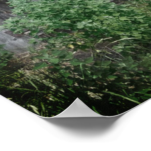 Old Door Poster (Hoek)