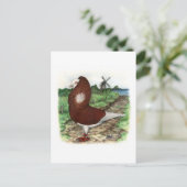 Old Dutch Capuchine Pigeon Briefkaart (Staand voorkant)