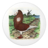 Old Dutch Capuchine Pigeon Keramische Knop (Voorkant)