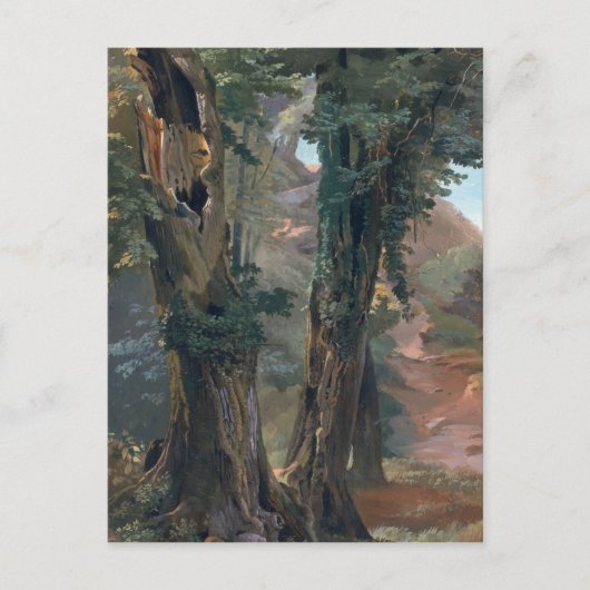 Old Elms, c.1835 Briefkaart (Voorkant)