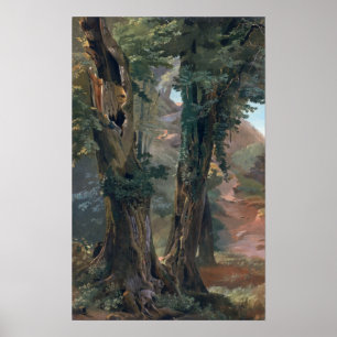 Old Elms, c.1835 Poster