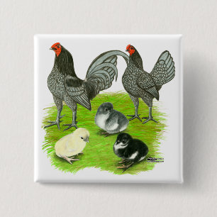 Old English Blau Game Family Vierkante Button 5,1 Cm