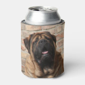 old english Mastiff  Blikjeskoeler (Blikje Voorkant)