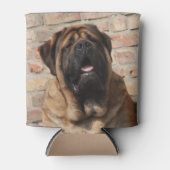old english Mastiff  Blikjeskoeler (Voorkant)