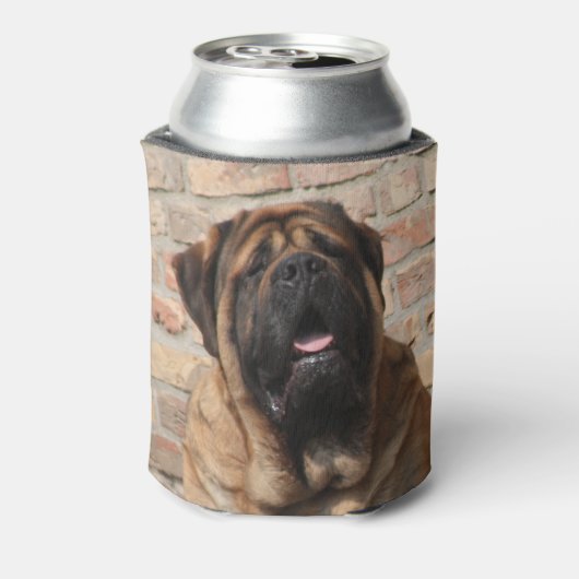 old english Mastiff  Blikjeskoeler (Blikje Achterkant)