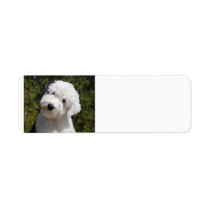 Old_English_Sheep_Dog pup.png Etiket