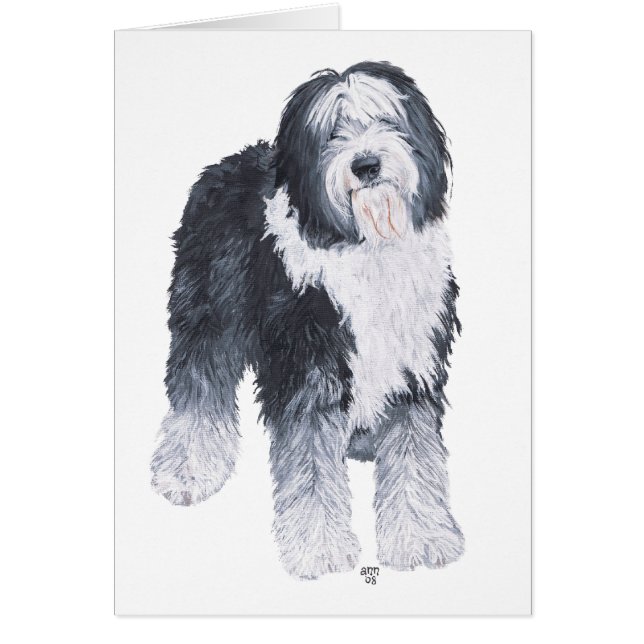 Old English Sheepdog (Voorkant)