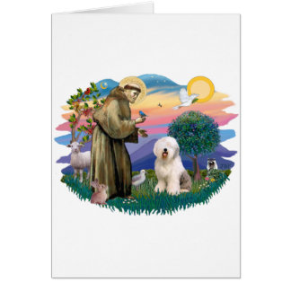 Old English Sheepdog (#6)