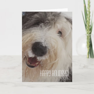 Old English Sheepdog Card - Happy Holidays Feestdagen Kaart