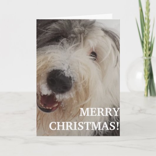 Old English Sheepdog Card - Merry Christmas Feestdagen Kaart (Voorkant)
